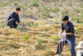 宮城県岩沼市　ボランティア活動